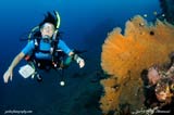 Scuba Diving in Bali with coral
